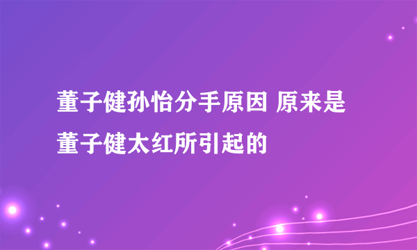 董子健孙怡分手原因 原来是董子健太红所引起的