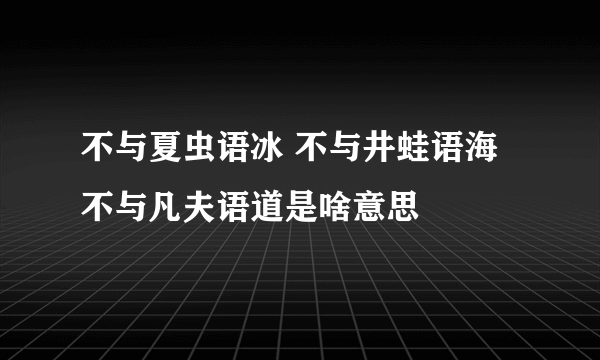 不与夏虫语冰 不与井蛙语海 不与凡夫语道是啥意思