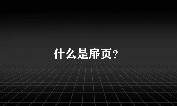 什么是扉页？