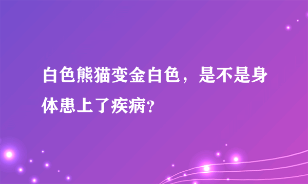 白色熊猫变金白色，是不是身体患上了疾病？