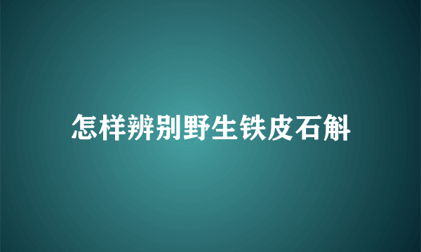 怎样辨别野生铁皮石斛