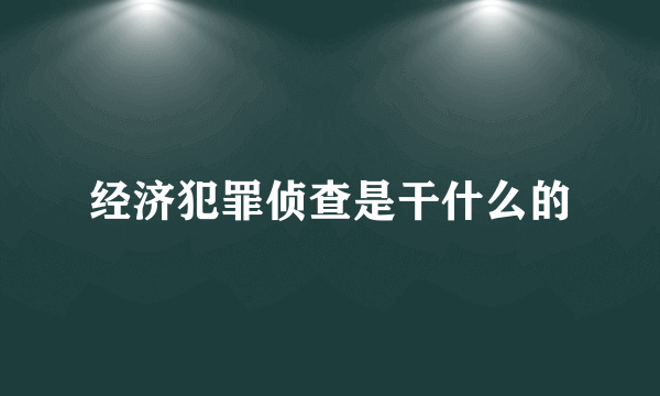 经济犯罪侦查是干什么的