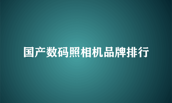 国产数码照相机品牌排行