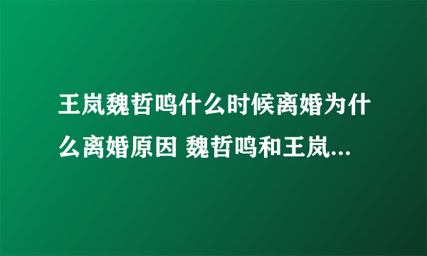 王岚魏哲鸣什么时候离婚为什么离婚原因 魏哲鸣和王岚有孩子吗