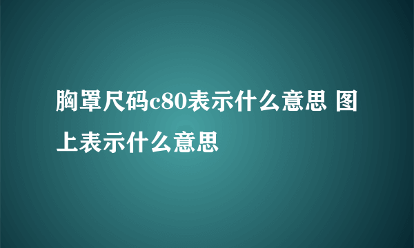 胸罩尺码c80表示什么意思 图上表示什么意思