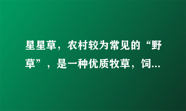 星星草，农村较为常见的“野草”，是一种优质牧草，饲用价值较高