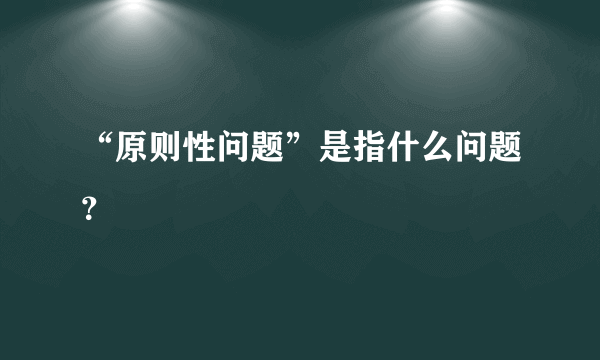 “原则性问题”是指什么问题？