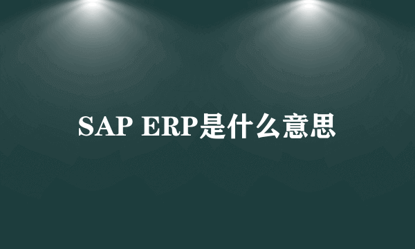 SAP ERP是什么意思