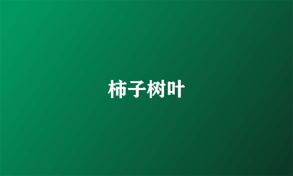 柿子树叶