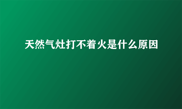 天然气灶打不着火是什么原因