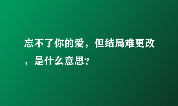 忘不了你的爱，但结局难更改，是什么意思？