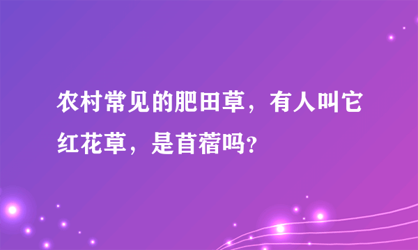 农村常见的肥田草，有人叫它红花草，是苜蓿吗？