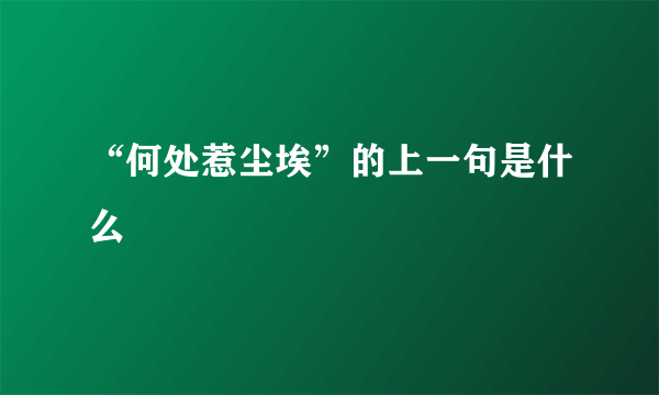 “何处惹尘埃”的上一句是什么