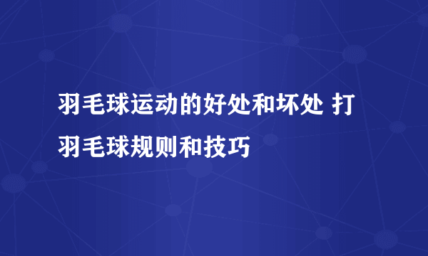 羽毛球运动的好处和坏处 打羽毛球规则和技巧