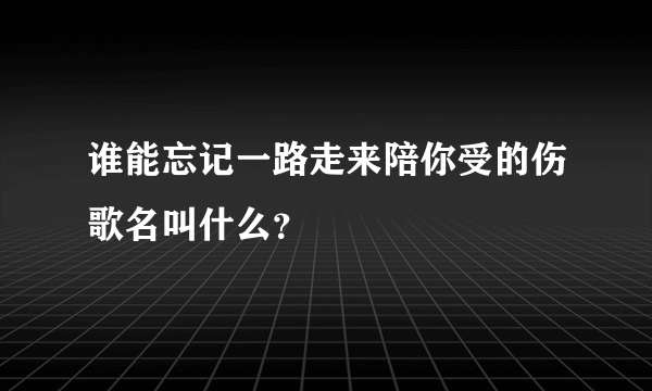 谁能忘记一路走来陪你受的伤歌名叫什么？