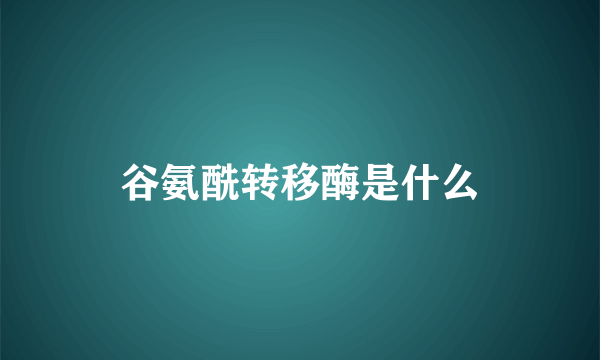 谷氨酰转移酶是什么