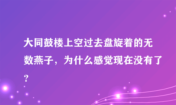 大同鼓楼上空过去盘旋着的无数燕子，为什么感觉现在没有了？