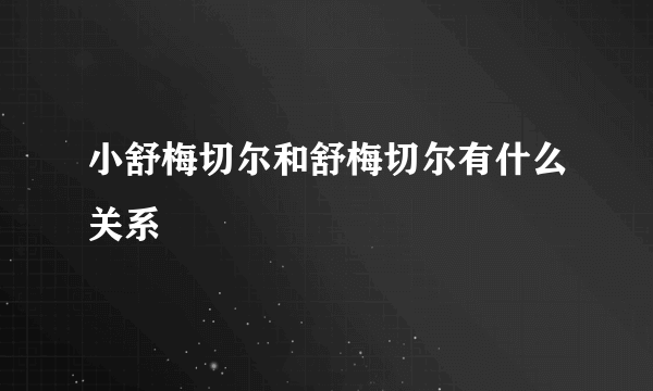 小舒梅切尔和舒梅切尔有什么关系