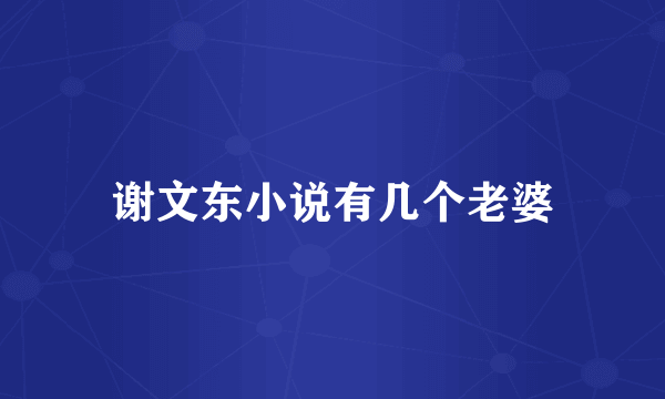 谢文东小说有几个老婆