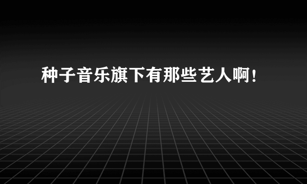 种子音乐旗下有那些艺人啊！