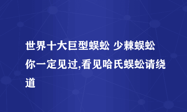 世界十大巨型蜈蚣 少棘蜈蚣你一定见过,看见哈氏蜈蚣请绕道