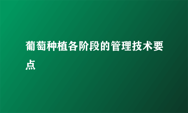 葡萄种植各阶段的管理技术要点