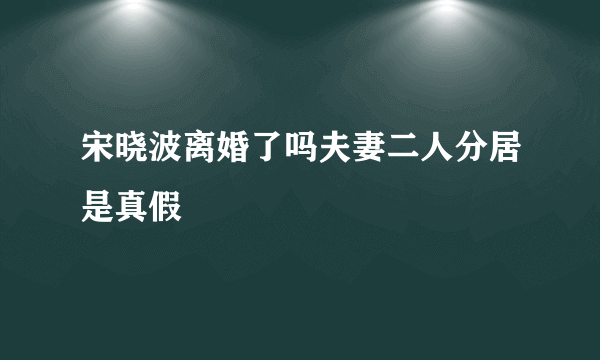 宋晓波离婚了吗夫妻二人分居是真假