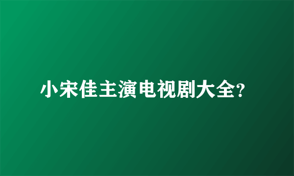 小宋佳主演电视剧大全？