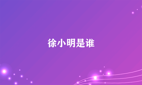 徐小明是谁