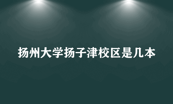 扬州大学扬子津校区是几本