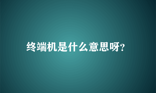 终端机是什么意思呀？