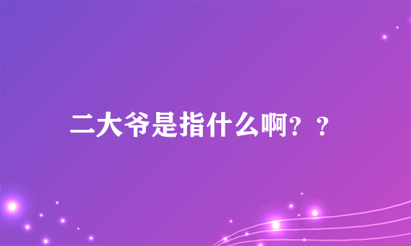 二大爷是指什么啊？？