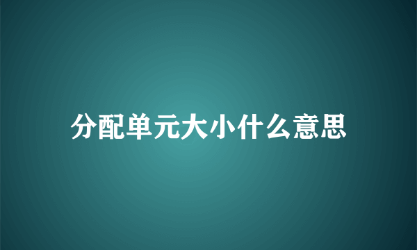 分配单元大小什么意思