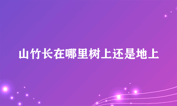 山竹长在哪里树上还是地上