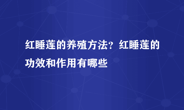 红睡莲的养殖方法？红睡莲的功效和作用有哪些