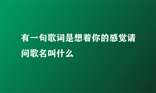 有一句歌词是想着你的感觉请问歌名叫什么