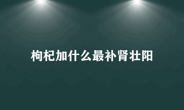 枸杞加什么最补肾壮阳