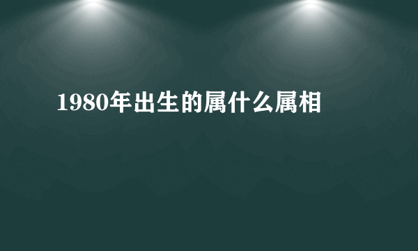 1980年出生的属什么属相