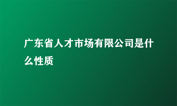 广东省人才市场有限公司是什么性质