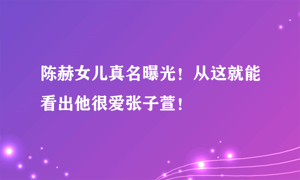 陈赫女儿真名曝光！从这就能看出他很爱张子萱！