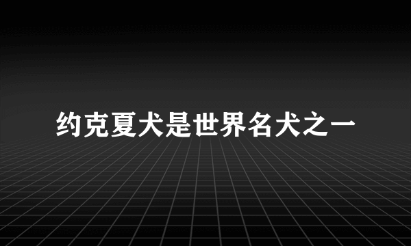 约克夏犬是世界名犬之一