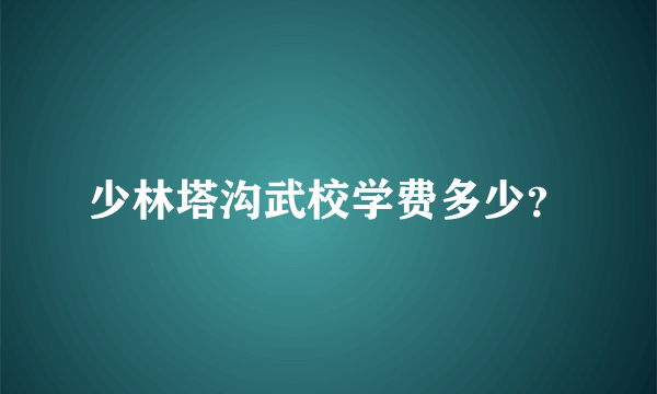 少林塔沟武校学费多少？