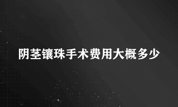 阴茎镶珠手术费用大概多少