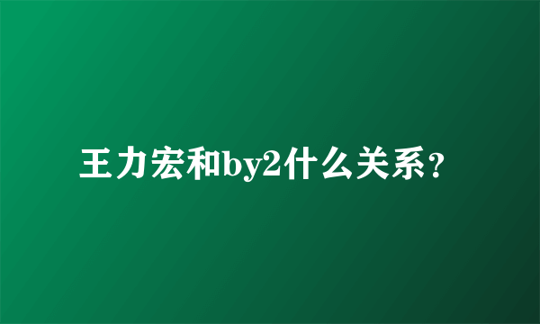 王力宏和by2什么关系？