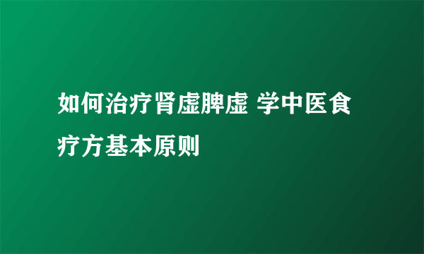 如何治疗肾虚脾虚 学中医食疗方基本原则