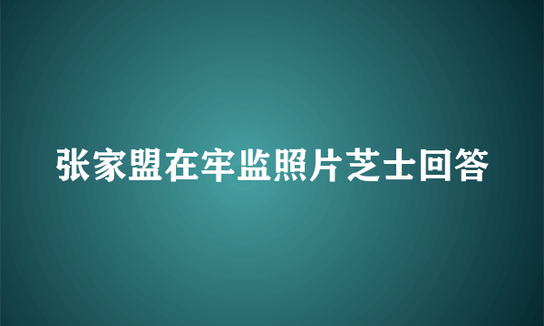 张家盟在牢监照片芝士回答