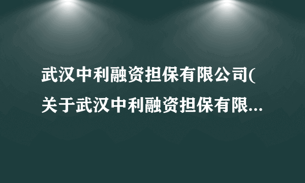 武汉中利融资担保有限公司(关于武汉中利融资担保有限公司简述)