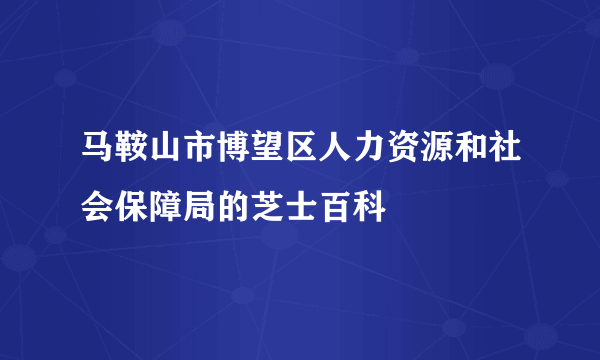 马鞍山市博望区人力资源和社会保障局的芝士百科