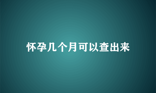 怀孕几个月可以查出来