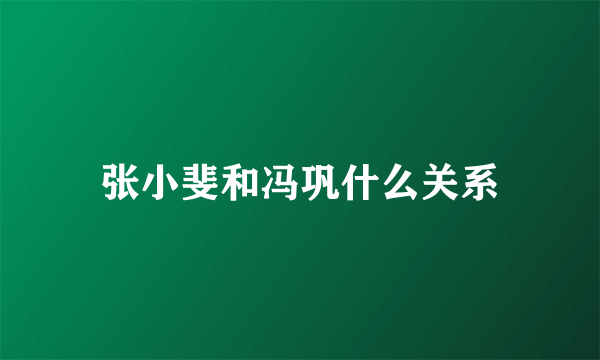 张小斐和冯巩什么关系